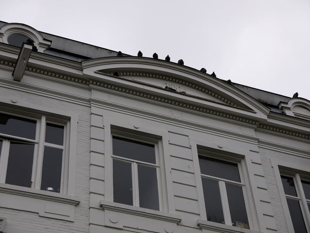 Palomas posadas en la cornisa de un edificio